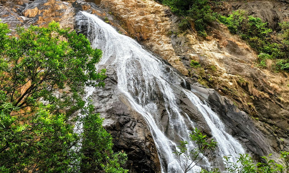 A DIY Guide To Dudhsagar Waterfalls Trek