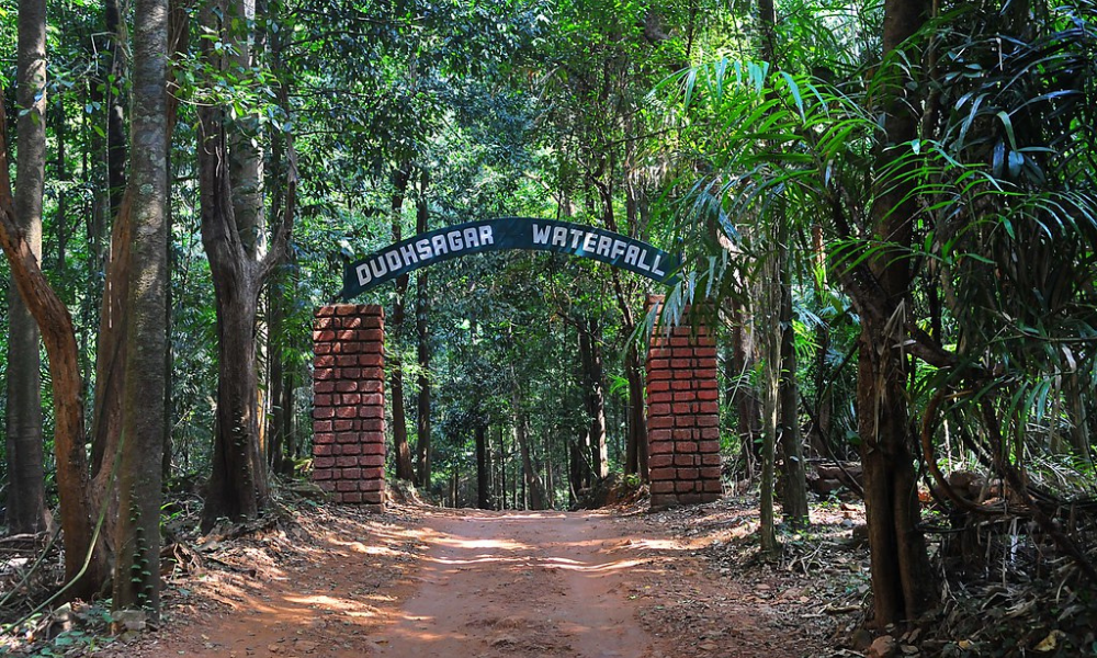 A DIY Guide To Dudhsagar Waterfalls Trek