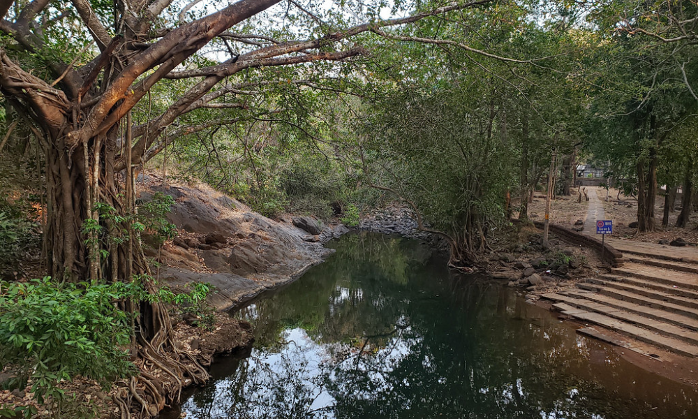 A DIY Guide To Dudhsagar Waterfalls Trek