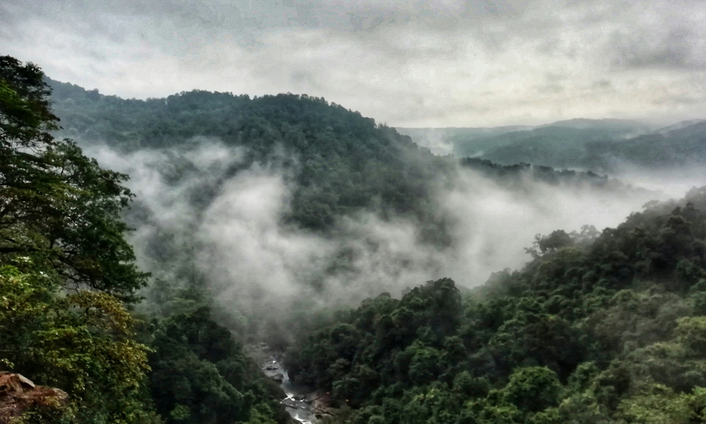 A DIY Guide To Dudhsagar Waterfalls Trek