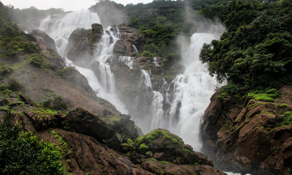 A DIY Guide To Dudhsagar Waterfalls Trek