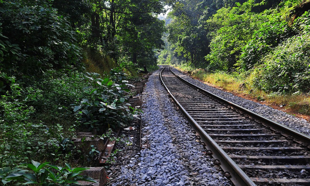 A DIY Guide To Dudhsagar Waterfalls Trek