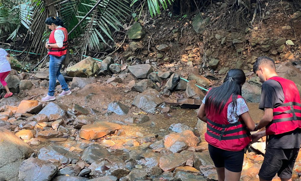 A DIY Guide To Dudhsagar Waterfalls Trek
