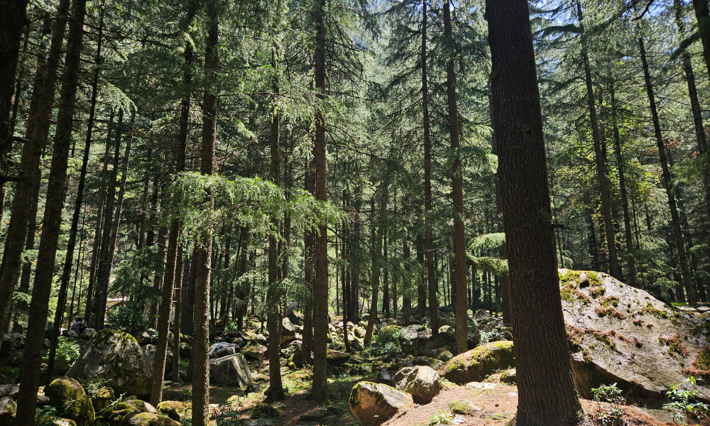 How To Reach Kasol