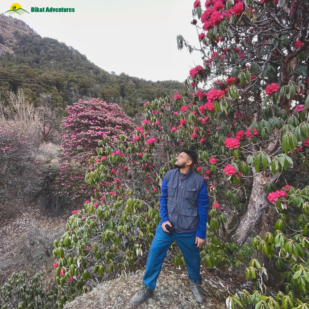 Summiting Emotions - My Journey to Pangarchulla Peak