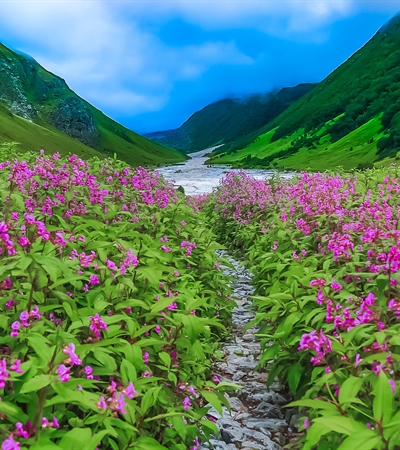 valley of flowers uttarakhand best time to visit