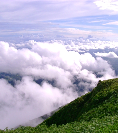 Kodachadri Trek - Trekking In Western Ghats - Bikat Adventures