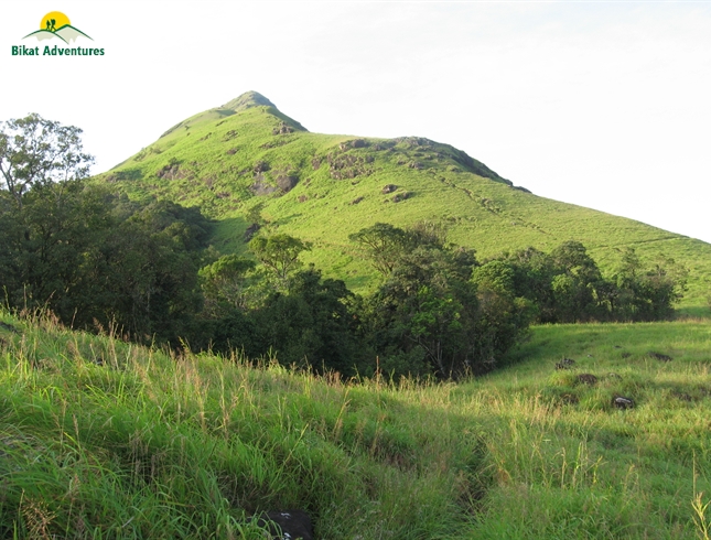 Chembra Peak Trek