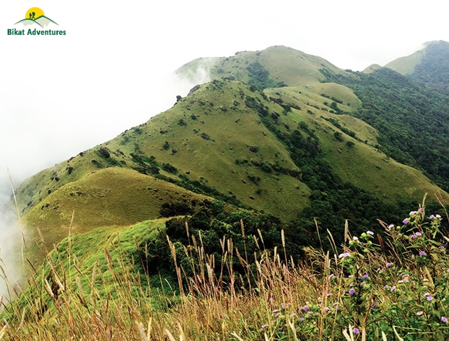 Tadiandamol Trek