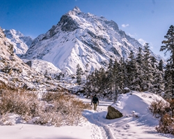 yhai brahmatal winter trek