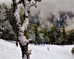 Nag Tibba Trek