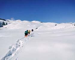 Surya Top Trek