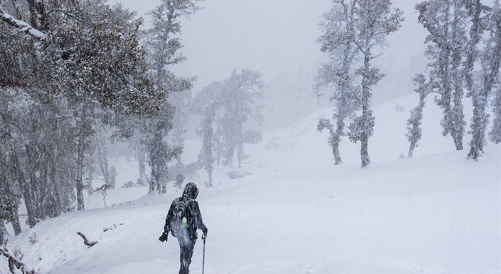 brahmatal trek temperature in january