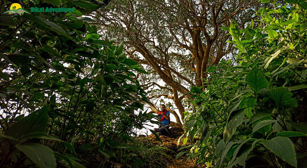 harishchandragad trek routes