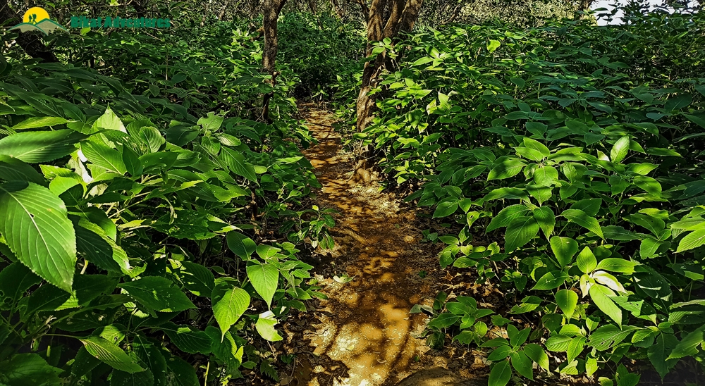 harishchandragad trek from mumbai by train