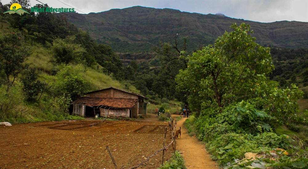 kalsubai trek crowd