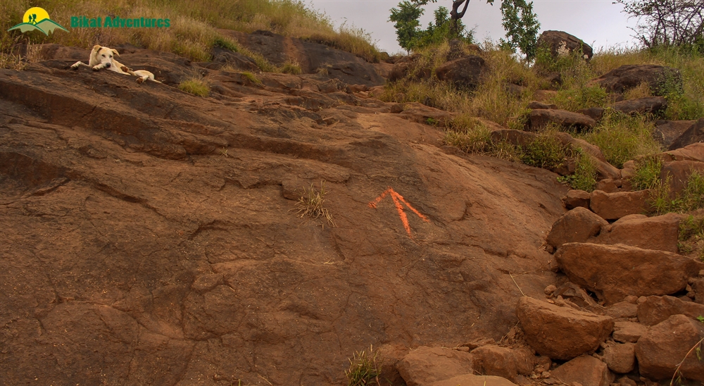 kalsubai trek crowd