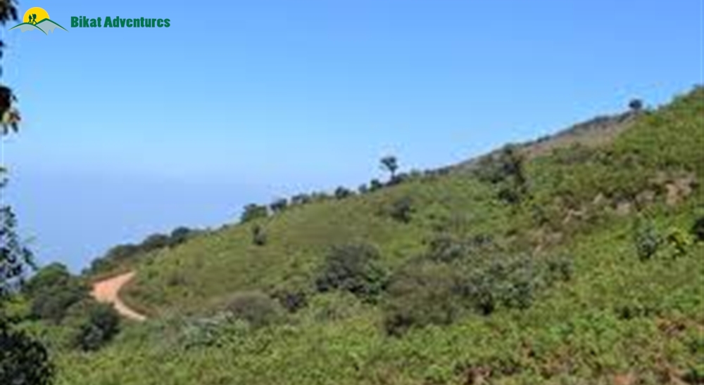 mullayanagiri trek steps