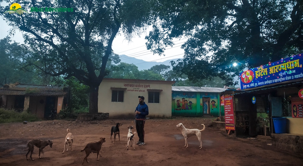 rajgad fort trek starting point