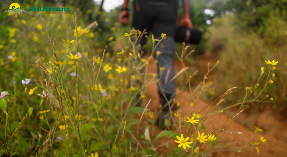 rajgad fort night trek