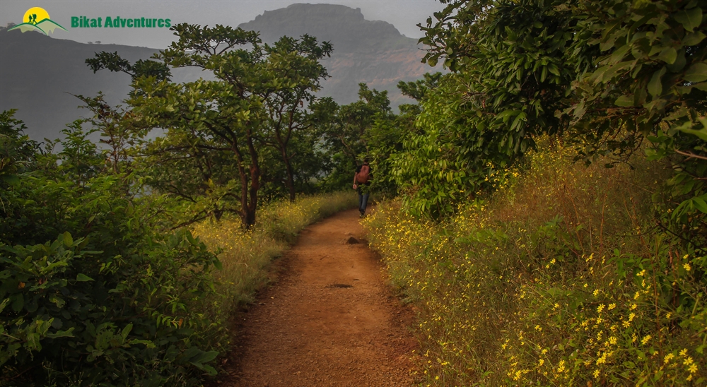 rajgad fort trek route