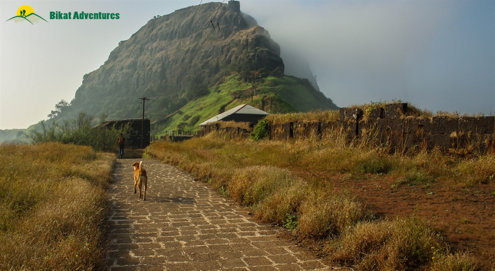 rajgad fort trek starting point