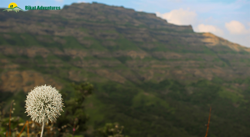 rajgad trek camping