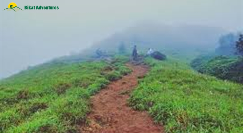 tadiandamol trek itinerary