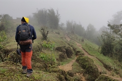 sandakphu-trek